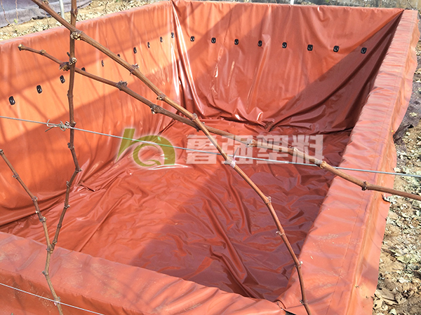 微信圖片_20190304110214