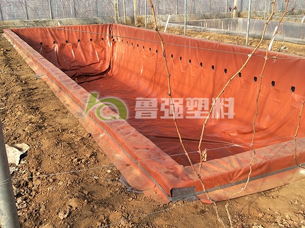 微信圖片_20190304110230