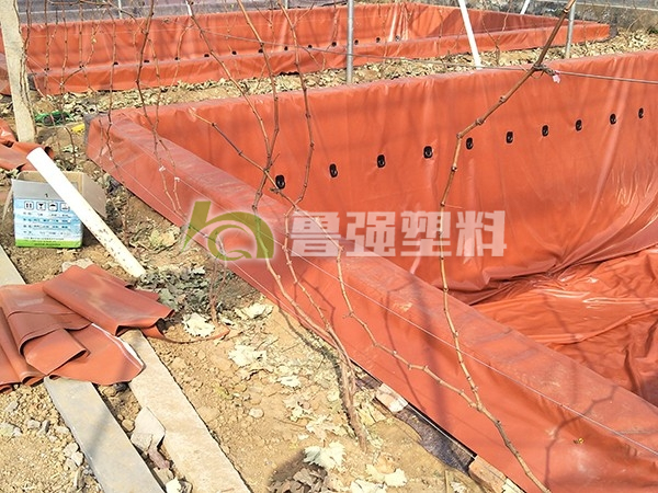 微信圖片_20190304110146